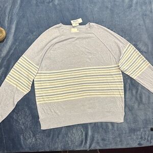 Women’s pale Blue cotton/silk sweater L NWT